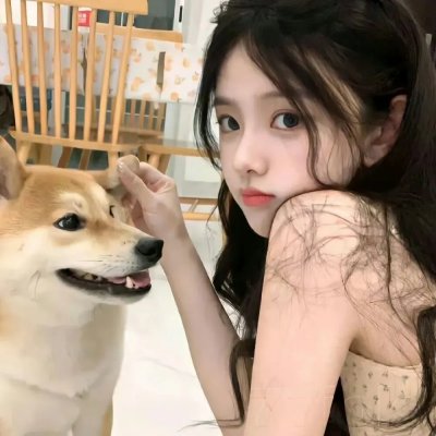 瞎猪想要飞